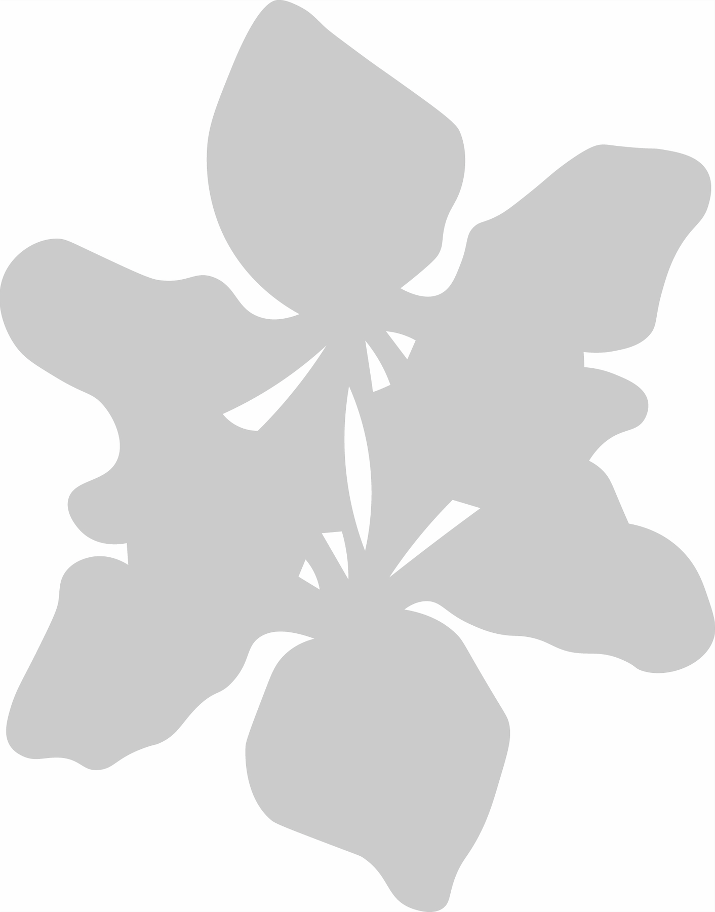 A Beautiful Bug / 아름다운 벌레