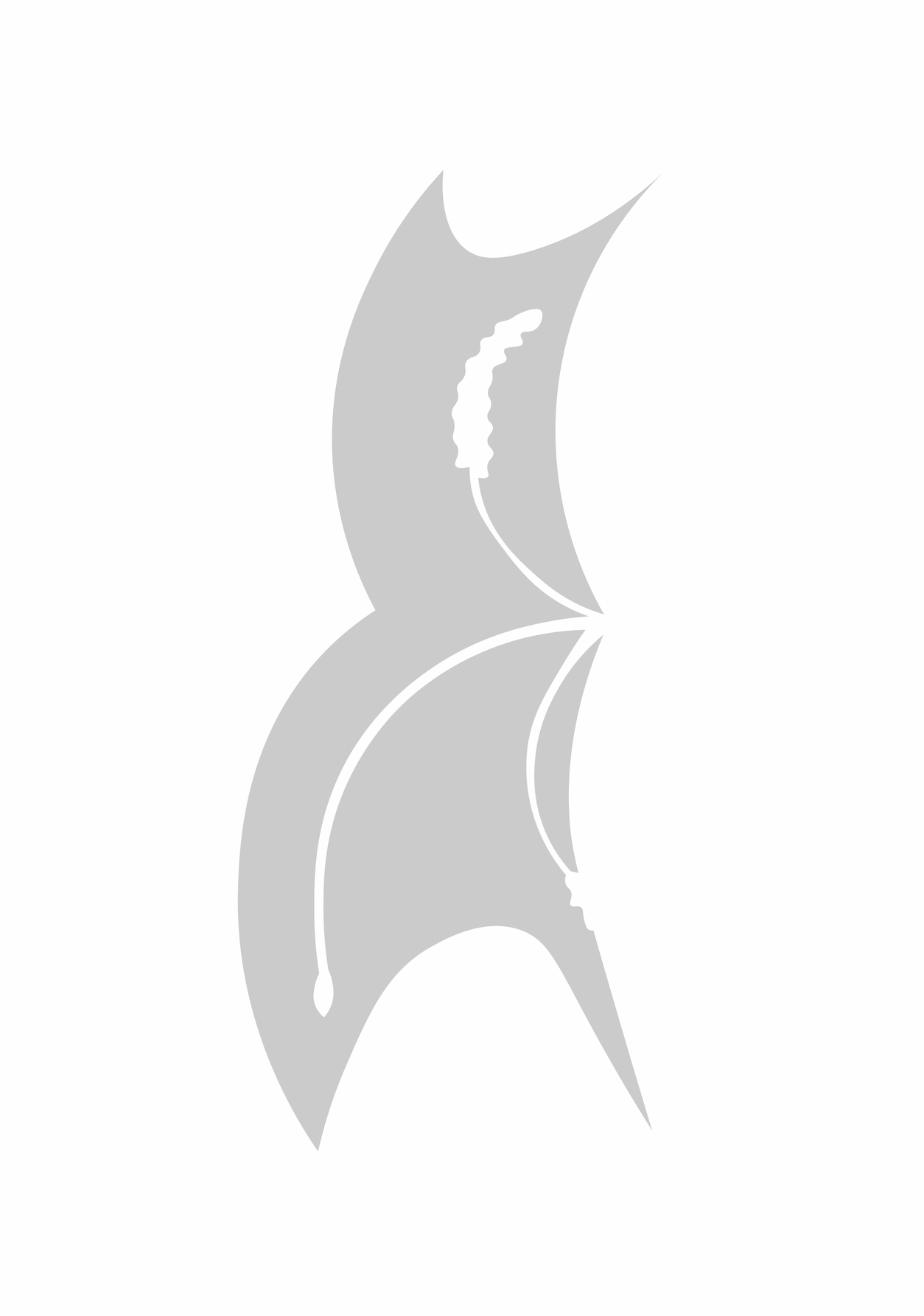 A plant grown by illumination / 비추며 자라는 식물