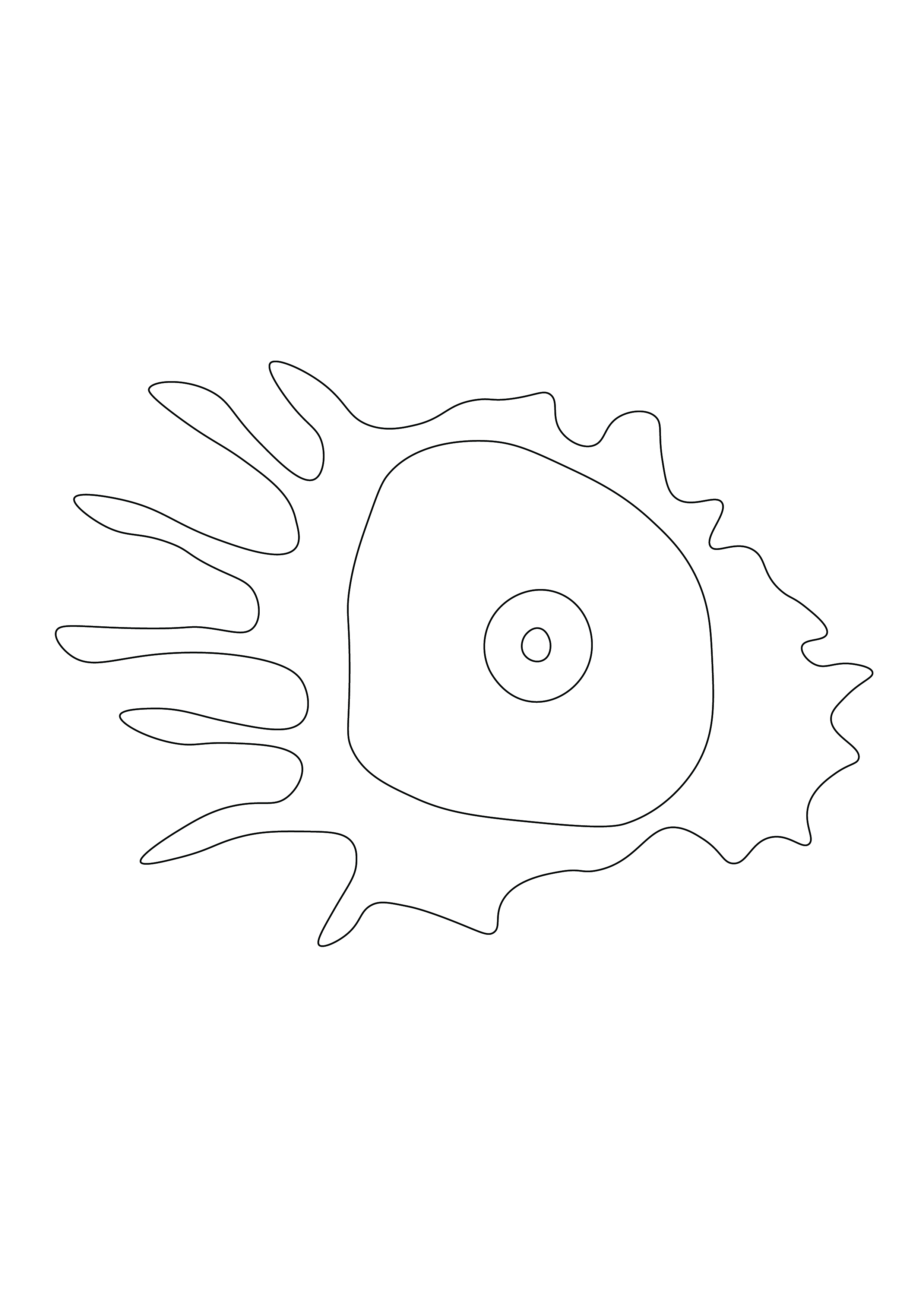 20260623