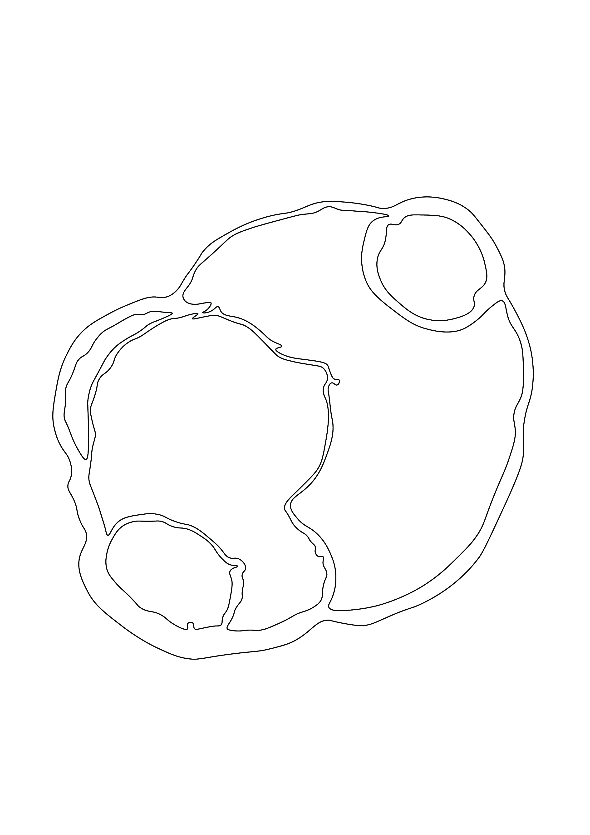 20260623