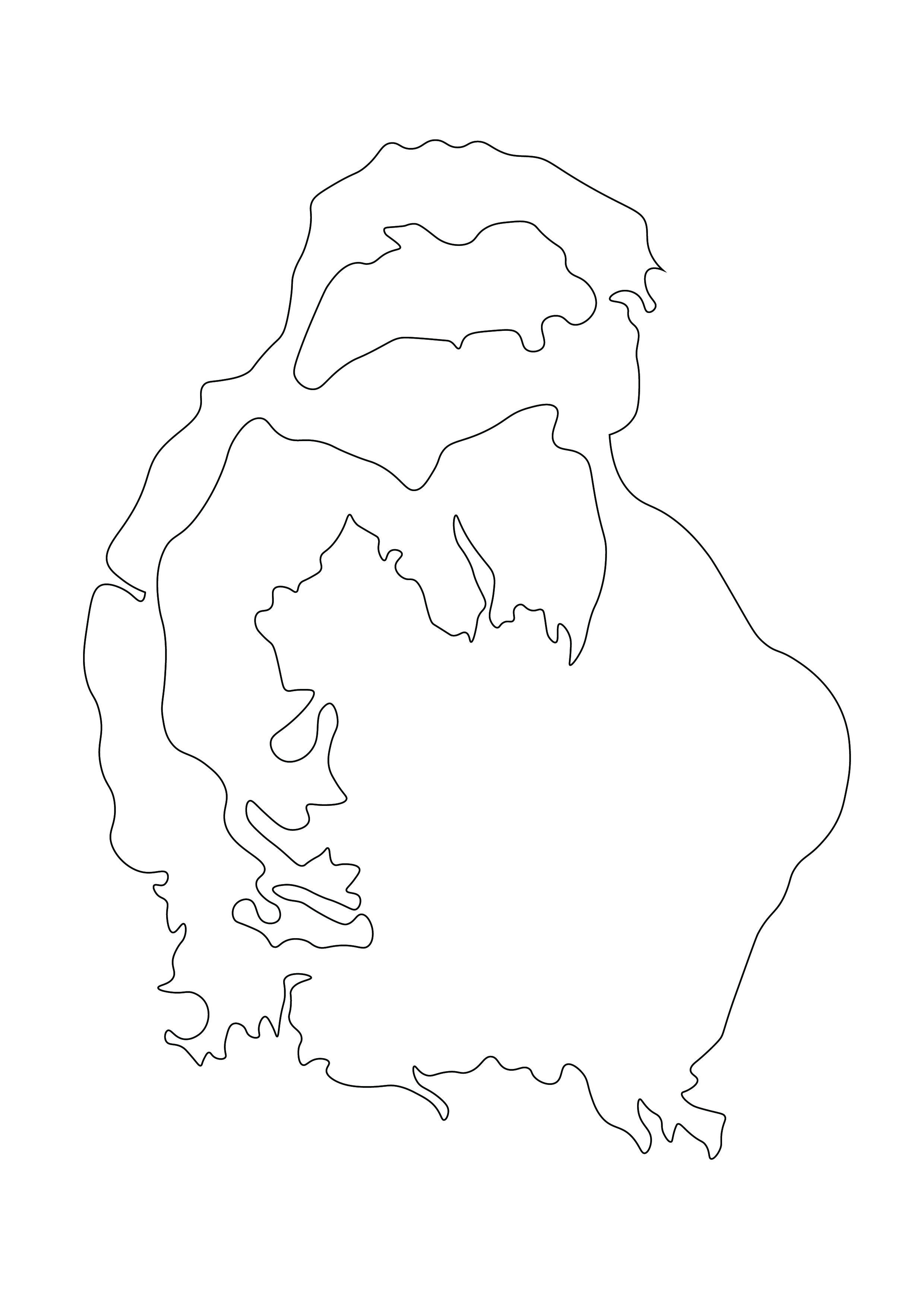 20260623