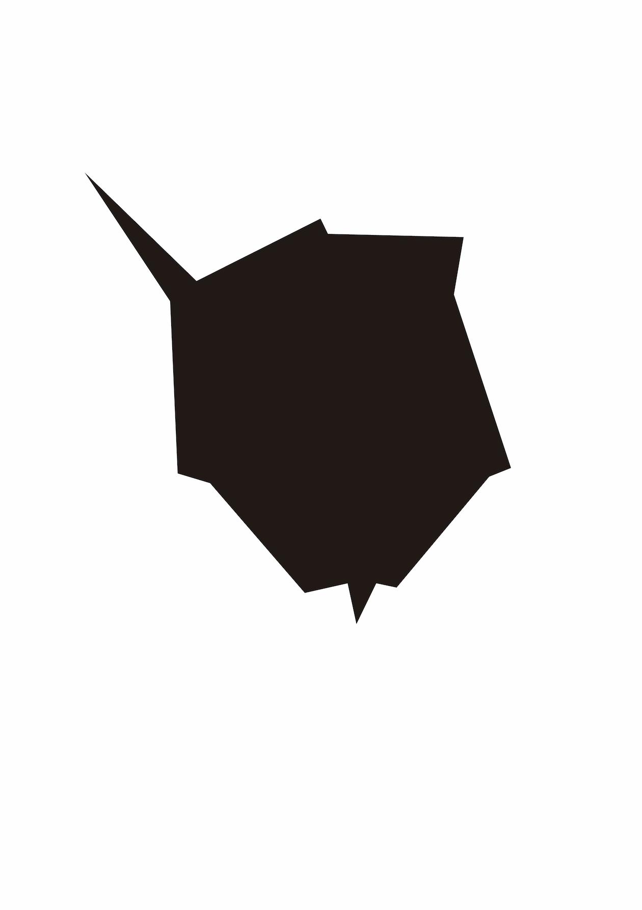 stars,birds,sound and lights / 별,새,소리와 빛