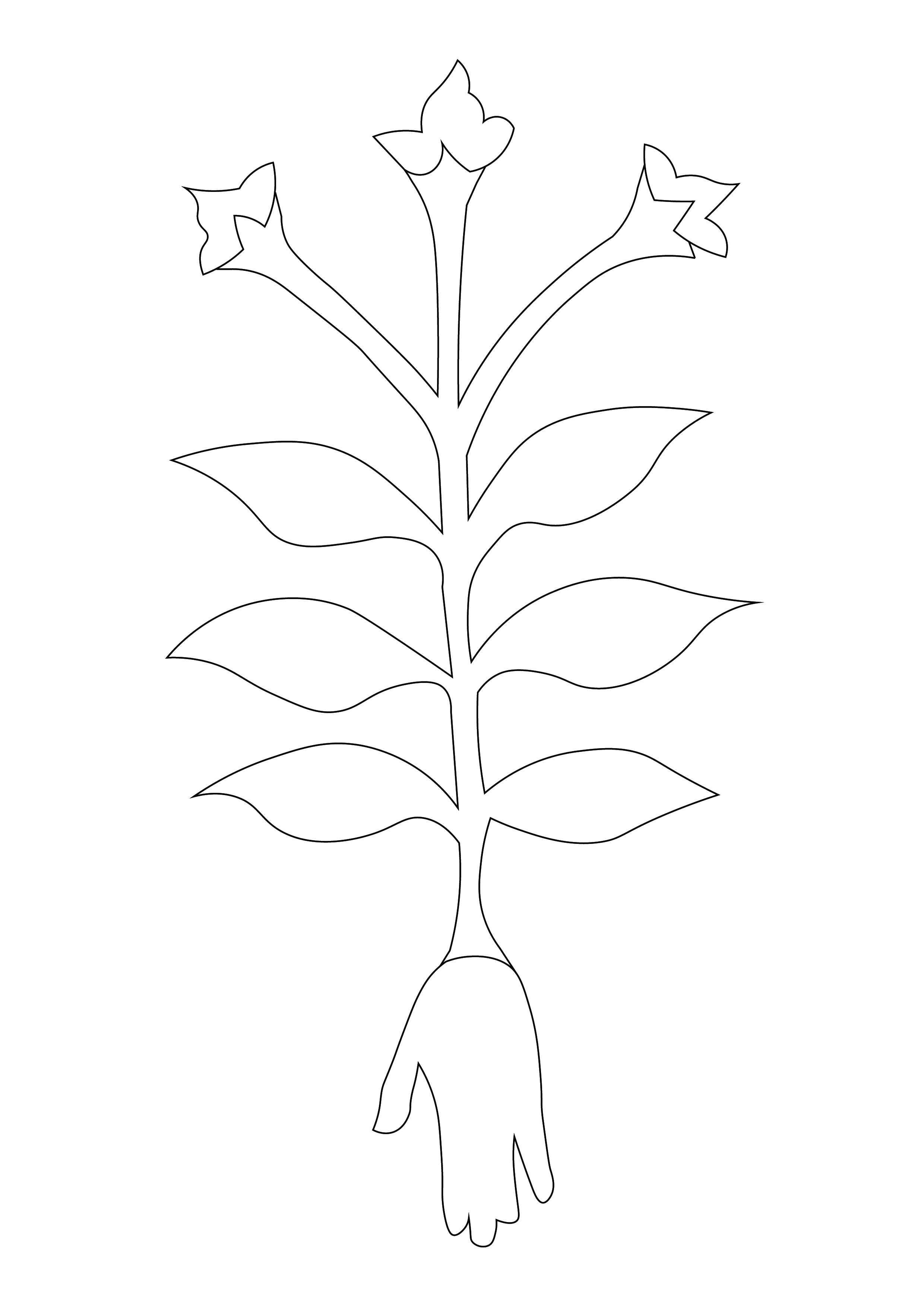 20260623