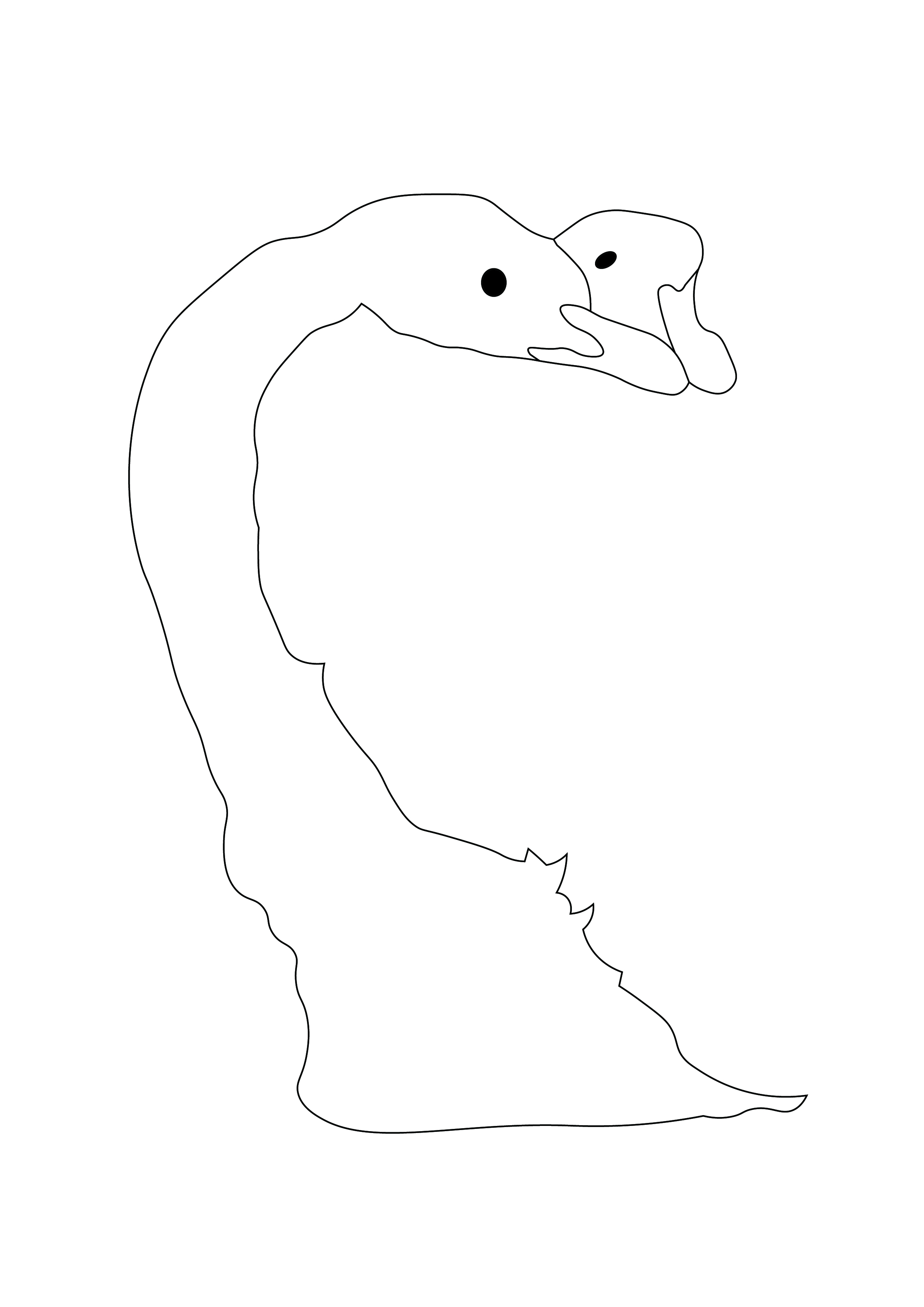 20260623